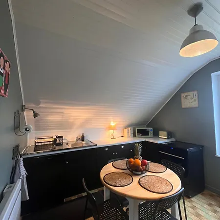 De La Niederau Appartement Colmar