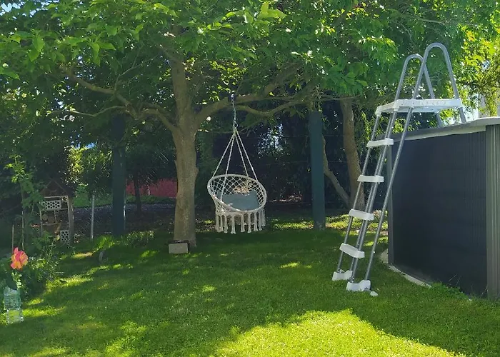 De La Niederau 公寓 科尔马