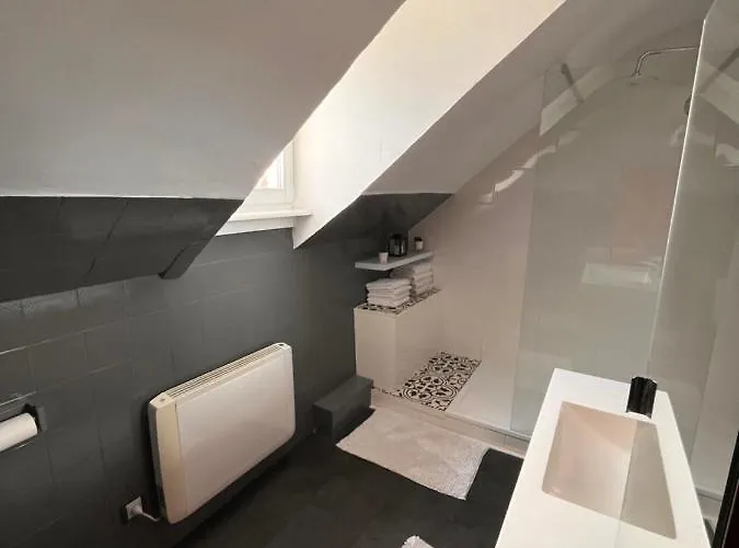 De La Niederau 科尔马