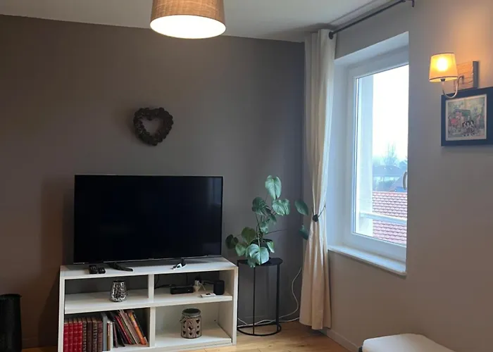 De La Niederau 科尔马