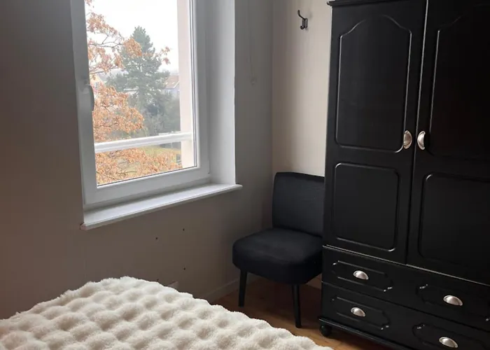 Daire De La Niederau Colmar