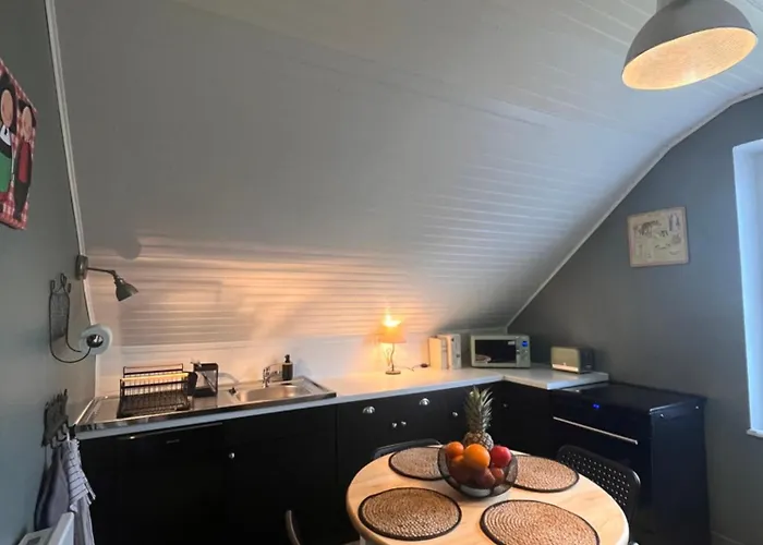 De La Niederau 公寓 科尔马